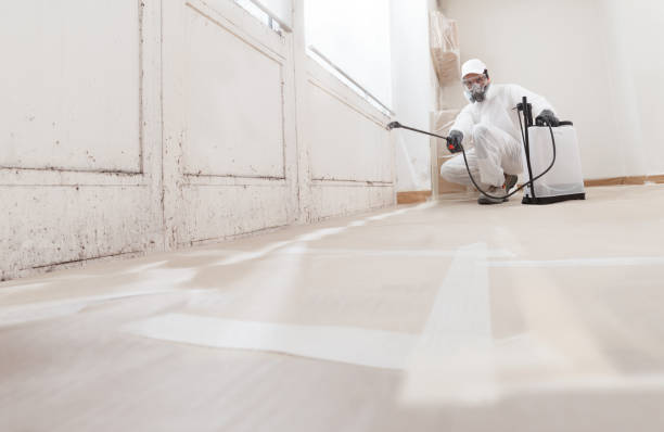 24/7 Emergency Basement Mold Remediation experts in Capron, IL